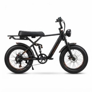 TST Electric Bike for Adults, 20" Fat Tire, Dual Suspension, 48V 15Ah Removable Battery